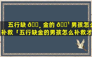 五行缺 🕸 金的 🌹 男孩怎么补救「五行缺金的男孩怎么补救才好」